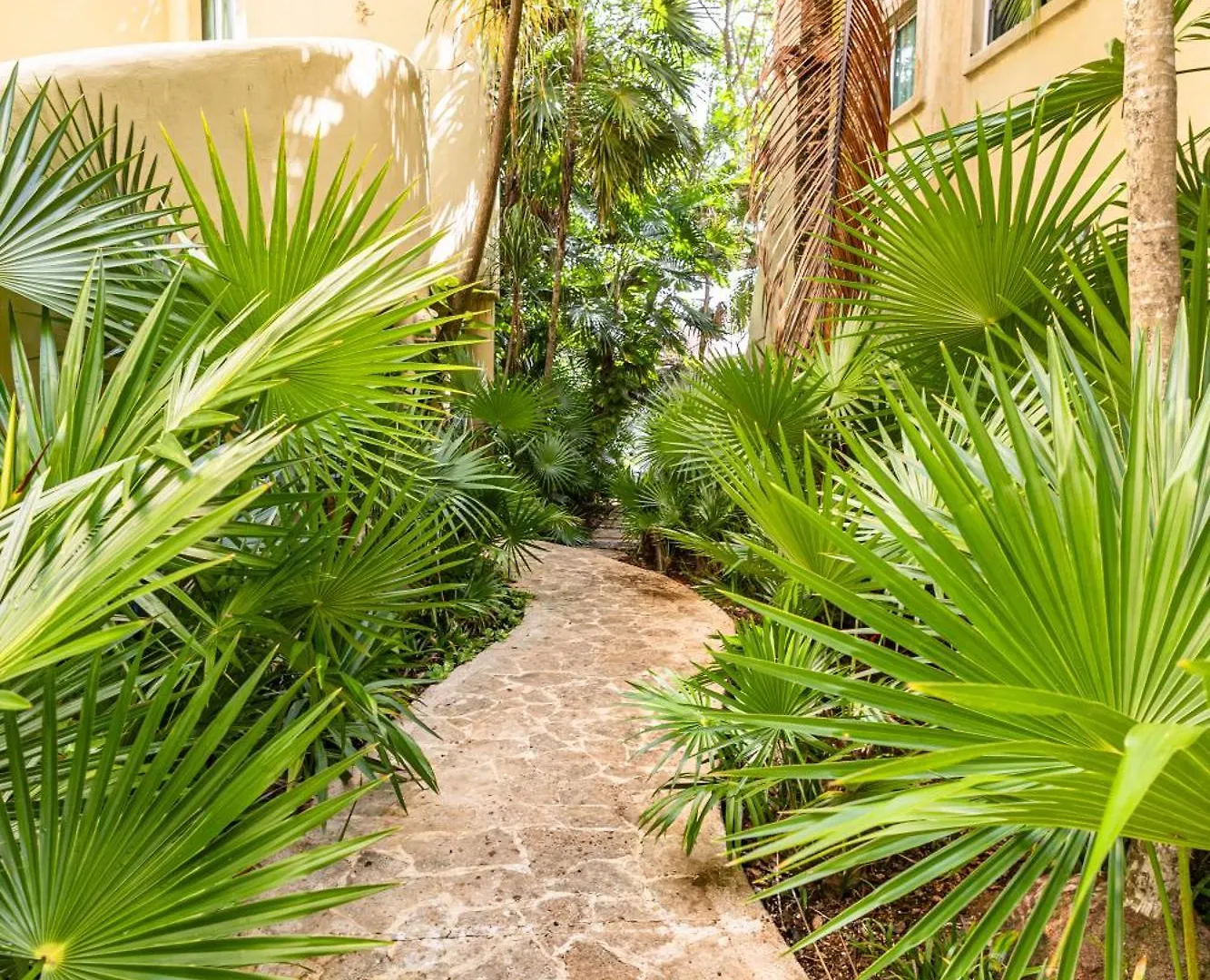 Villas Xaguar By Playasky Playa del Carmen 0*,  Mexico